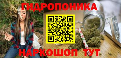 скорость Гусь-Хрустальный