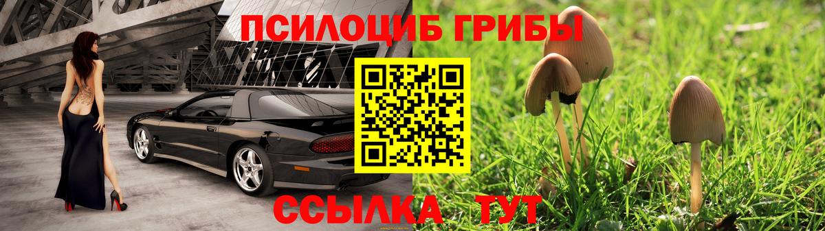 Ковров  Галлюциногенные грибы Psilocybine cubensis  Вход с VPN 